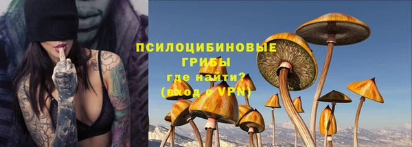 крисы Рославль