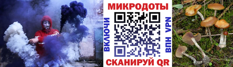 kraken tor  наркотики  Ядрин  Галлюциногенные грибы Cubensis 
